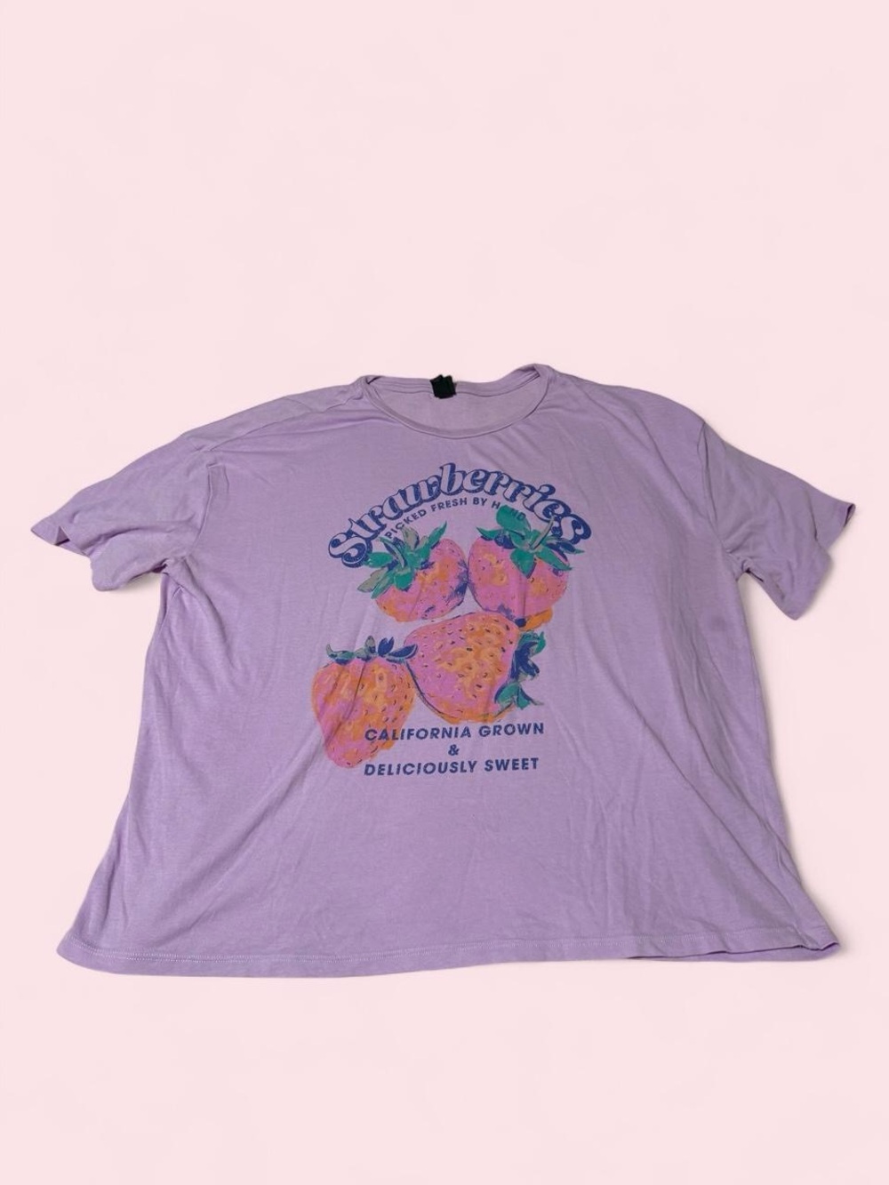 wild fable Lavender Graphic 'Strawberries' Short Sleeve Tee